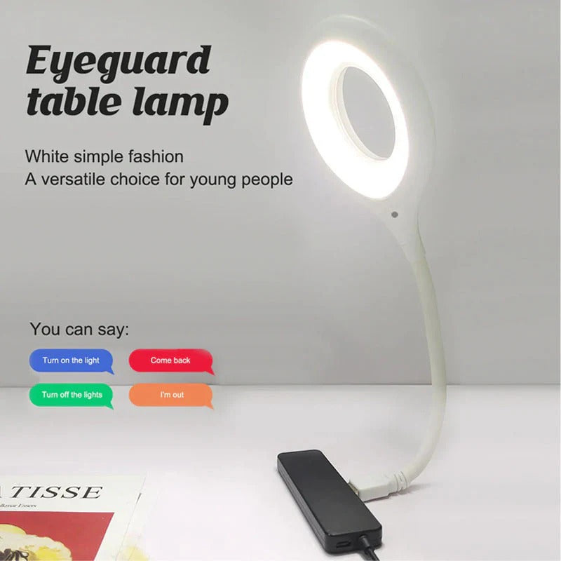 Voice Control LED Lamp | Smart LED USB lamp | Voice activated USB light